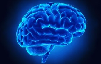 neurology